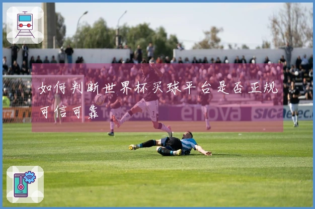 如何判断世界杯买球平台是否正规可信可靠