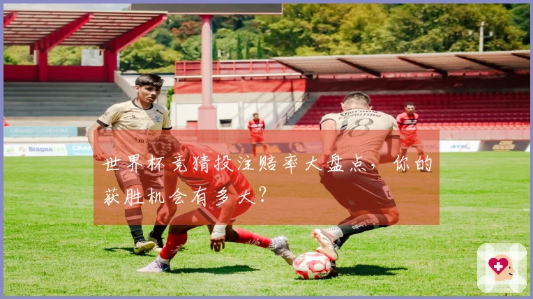世界杯竞猜投注赔率大盘点，你的获胜机会有多大？