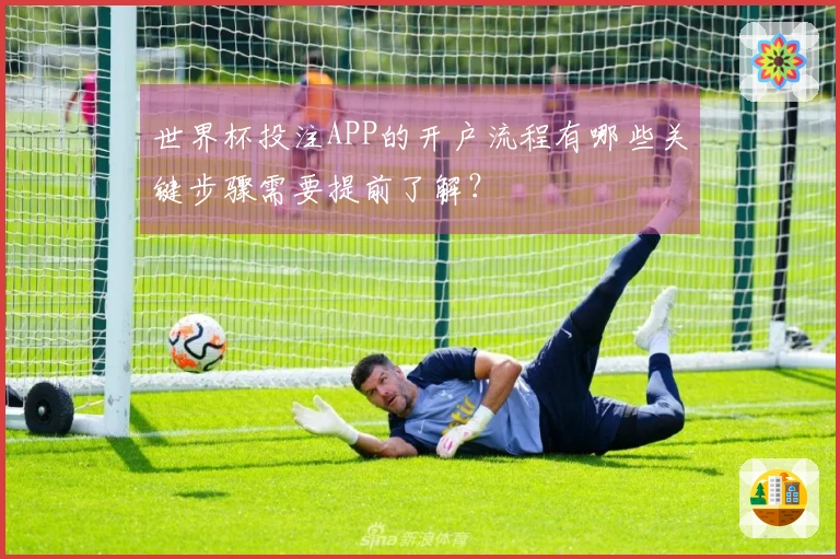 世界杯投注APP的开户流程有哪些关键步骤需要提前了解?