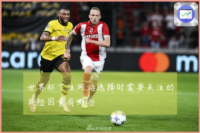 世界杯下注网站选择时需要关注的风险因素有哪些
