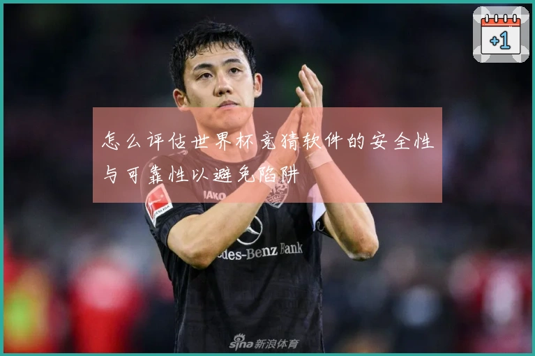 怎么评估世界杯竞猜软件的安全性与可靠性以避免陷阱