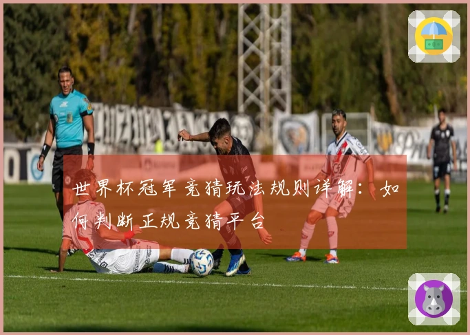 世界杯冠军竞猜玩法规则详解：如何判断正规竞猜平台