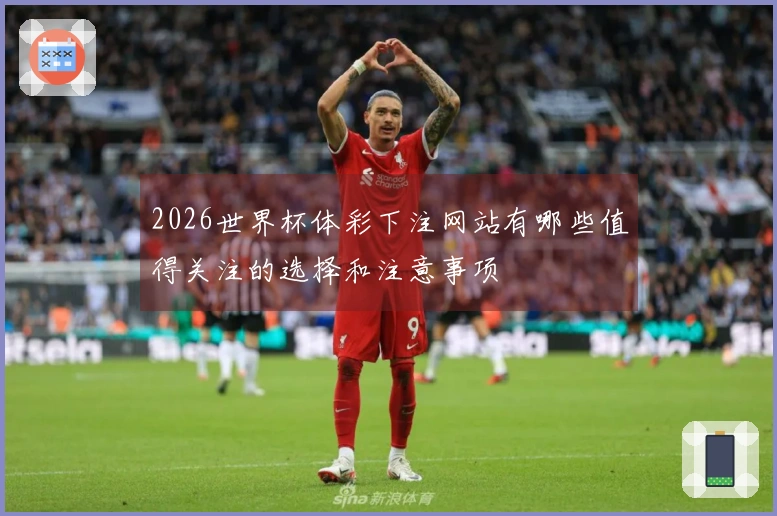 2026世界杯体彩下注网站有哪些值得关注的选择和注意事项