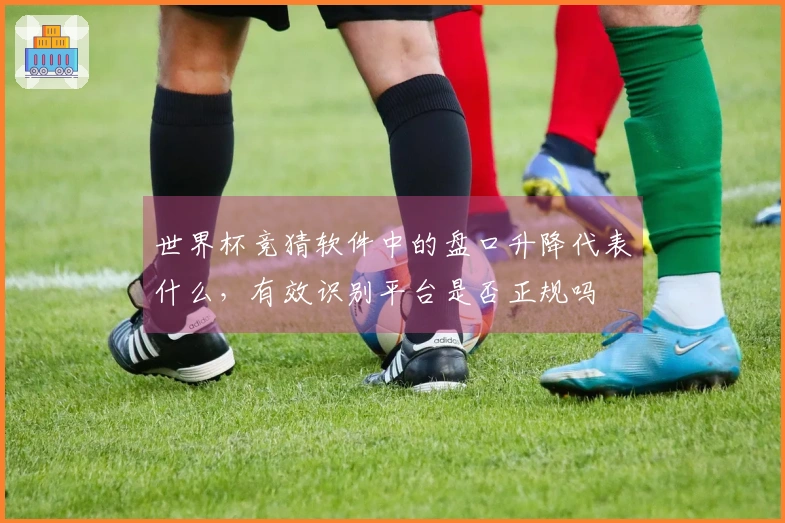 世界杯竞猜软件中的盘口升降代表什么，有效识别平台是否正规吗