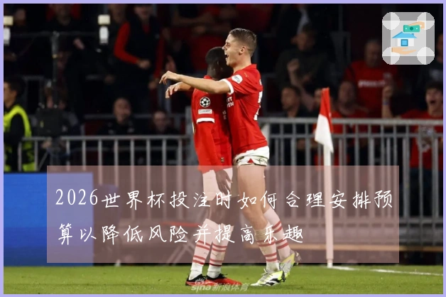 2026世界杯投注时如何合理安排预算以降低风险并提高乐趣