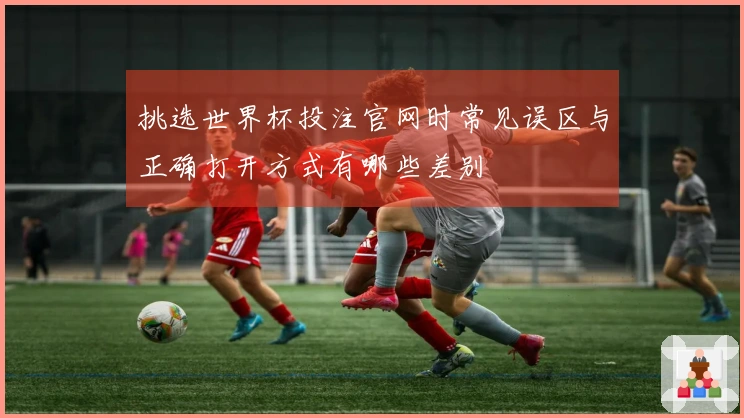 挑选世界杯投注官网时常见误区与正确打开方式有哪些差别