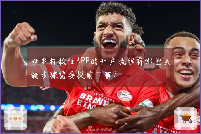 世界杯投注APP的开户流程有哪些关键步骤需要提前了解？