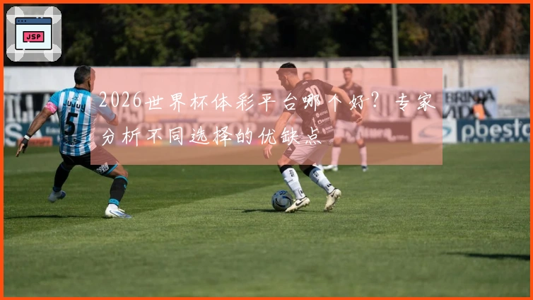 2026世界杯体彩平台哪个好？专家分析不同选择的优缺点