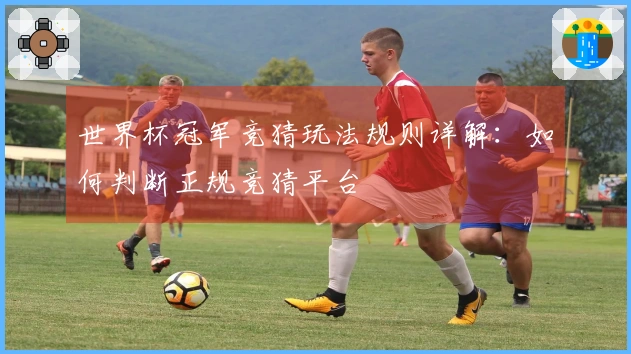 世界杯冠军竞猜玩法规则详解：如何判断正规竞猜平台