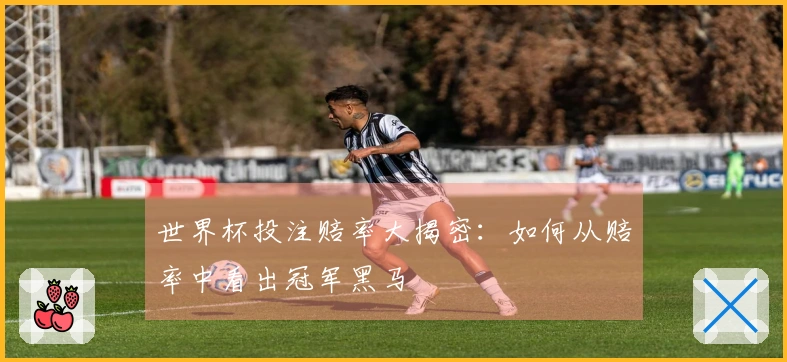 世界杯投注赔率大揭密：如何从赔率中看出冠军黑马