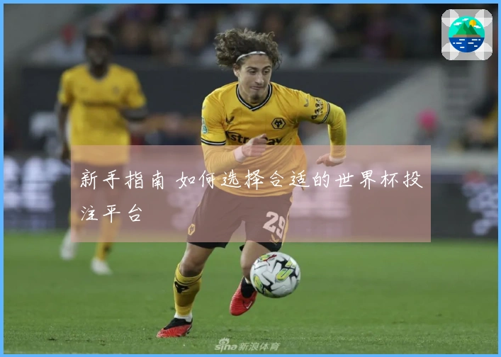 新手指南 如何选择合适的世界杯投注平台