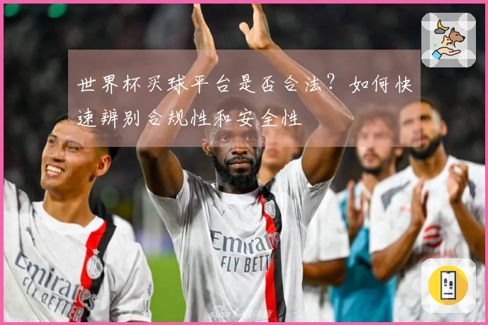 世界杯买球平台是否合法？如何快速辨别合规性和安全性
